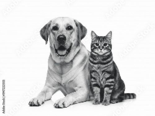 Dog and cat together in halftone dot pattern illustration on white background