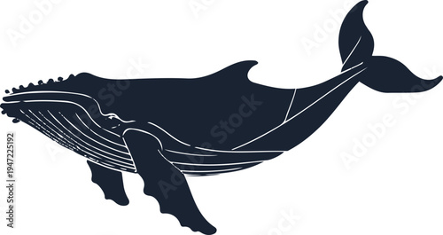 minimal humpback whale silhouette with subtle body lines, modern vector illustration design, isolated on white background 3