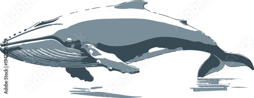 large whale swimming slowly in ocean water, minimal vector illustration, smooth contour lines, white background 1