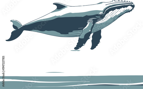 large whale swimming slowly in ocean water, minimal vector illustration, smooth contour lines, white background