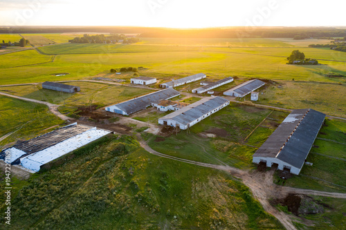 Photography agriculture livestock top view from a drone
