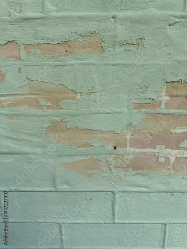 Wallpaper Mural The texture of aged, chipped exterior plaster on a residential building wall in a soft mint shade. Torontodigital.ca