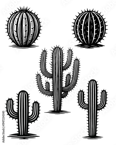 Conjunto cactos planta deserto natureza ilustração vetor