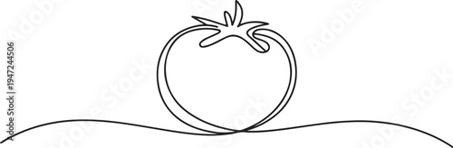 Hand drawn tomato outline. One line draw graphic design vector