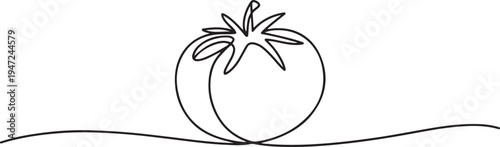 Hand drawn tomato outline. One line draw graphic design vector