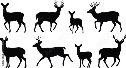 Deer silhouettes collection with stag and doe isolated on white background, wild forest animals in different poses for wildlife design, hunting illustration and graphic elements