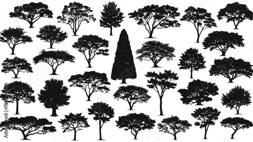 A diverse collection of stylized trees and birds in a minimalist black and white illustration Vector