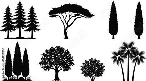 Collection of eight tree silhouettes, vector illustration of palm, conifer, acacia, broadleaf trees with diverse canopy styles, flat vector illustration