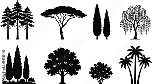 Collection of eight tree silhouettes, vector illustration of palm, conifer, acacia, willow, broadleaf trees with diverse foliage styles, flat vector illustration