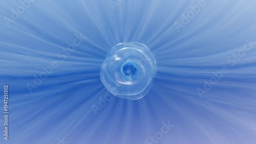 abstract translucent rose blossom, surreal background of pale blue rays emanating outwards