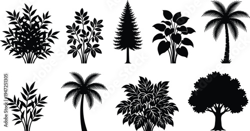 Collection of twelve plant and tree silhouettes, vector illustration of palm, conifer, broadleaf, bushy foliage, decorative nature elements, flat vector illustration