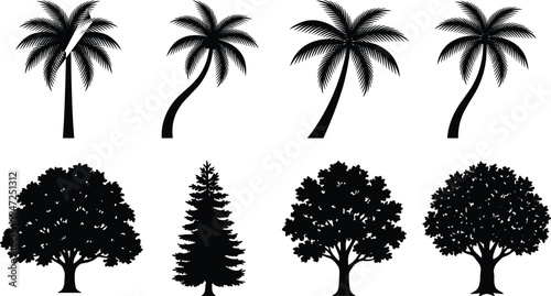 Collection of twelve tree silhouettes, vector illustration of palm, conifer, deciduous trees with diverse foliage and trunk styles, flat vector illustration