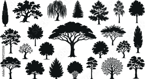 Set of 24 black tree silhouettes, diverse botanical shapes, vector illustration of deciduous and conifer trees, flat vector illustration