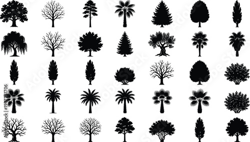 Tree silhouette illustration set, diverse icons including naturalistic, stylized, leafless and dense foliage forms representing forest theme - flat vector illustration