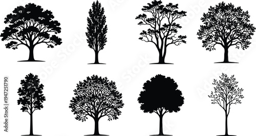 Tree silhouette vector illustration, broadleaf conifer icons, forest nature artwork, botanical outdoor design, landscape plant scene - flat vector illustration