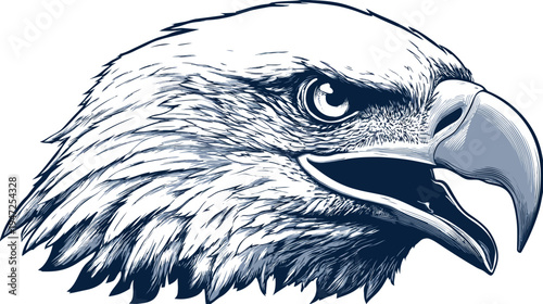 A detailed illustration of an eagle's head, showing feathers, eye, beak, and open mouth in profile