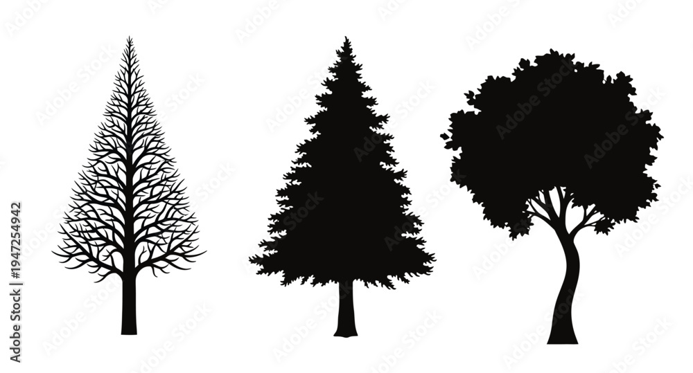 Fototapeta premium Three distinct trees are shown in a stark black silhouette