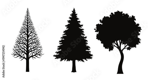 Three distinct trees are shown in a stark black silhouette