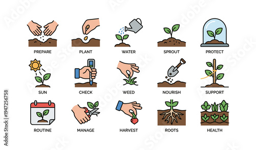 16 essential stages of plant growth with illustrations