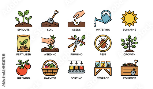 Gardening process icons: planting, watering, pruning, harvesting, and storage