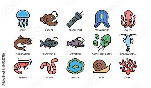 Colorful marine creatures icons: jellyfish, anglerfish, flashlight fish, squid, coral