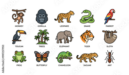 Jungle animals: monkey, gorilla, leopard, snake, parrot, toucan, elephant, tiger, sloth