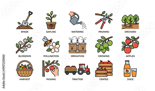 Gardening and orchard icons: tools, plants, pollination, harvest, and more