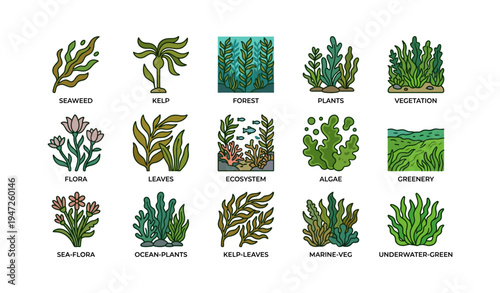 Collection of various aquatic plants and marine vegetation icons
