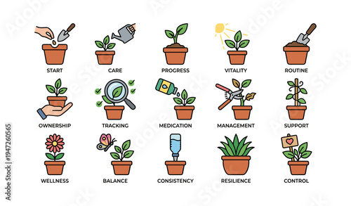 Illustrated steps for successful plant care and growth journey