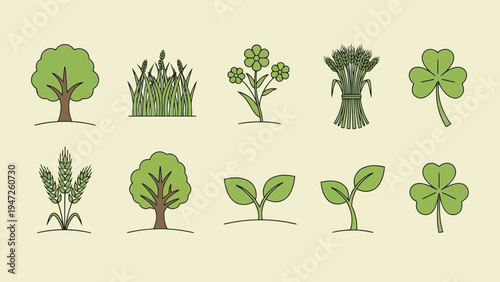 Illustrations of diverse trees with varying foliage and root structures in a playful style Vector
