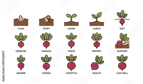 Stages of plant growth and healthy lifestyle icons for planning and management