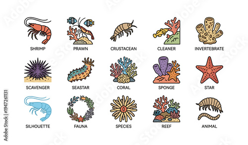 Marine life icons: crustaceans, coral, sea stars, and more