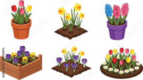 Flowers, garden, plants, tulips, daffodils, hyacinth, crocus, blossom, spring, floral, nature, pot, flowerbed, gardening, decorative, colorful, botanical, illustration, collection, set