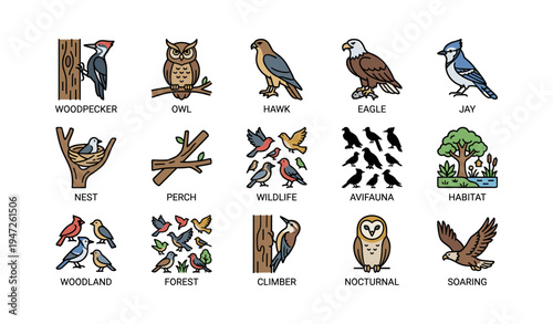 Illustrated bird icons including owl, woodpecker, eagle, jay, and habitat elements