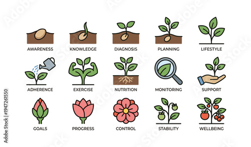 Illustrated stages of plant growth and wellbeing with symbols and keywords