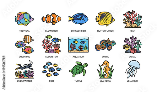 Colorful marine life: tropical fish, corals, reefs, and aquatic ecosystem illustrations