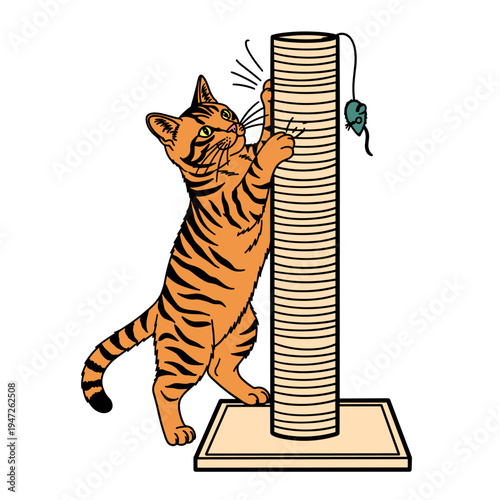 Ginger Tabby Cat Using Scratching Post Illustration