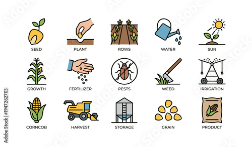 Illustrated farming process icons depicting planting growth and harvest stages