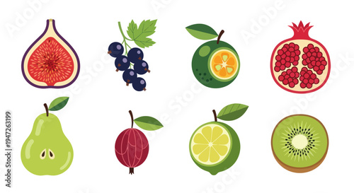 Colorful fruit collection isolated on white
