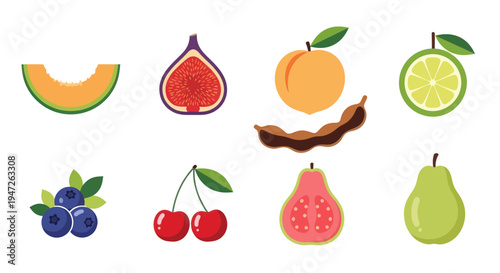 Colorful fruits collection illustration