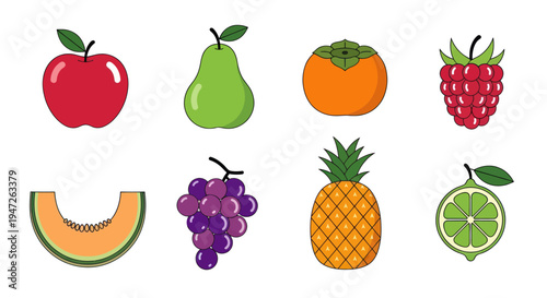 Colorful fruits collection illustration