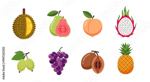 Colorful fruits collection illustration