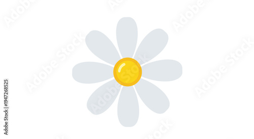 Simple white daisy flower with a vibrant yellow center isolated on a white background as a symbol of nature and purity.