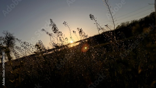 Cuadro en lienzo sunset in the city