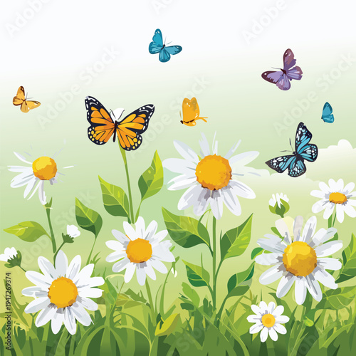 Colorful butterflies fluttering over daisies in a sunny summer meadow
