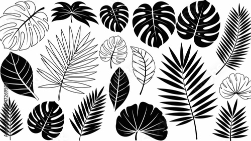 Tropical Leaves Silhouettes Collection: Monstera, Fern, Palm - Black and White Vector Set