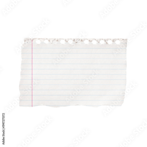 Torn piece of white notebook paper with blue lines and pink margin on checkered grid