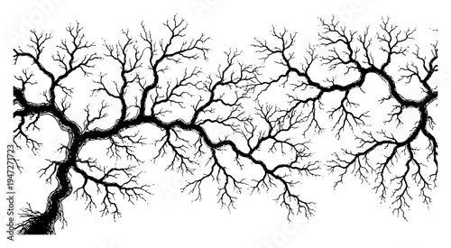 Bare tree branches with sprawling twigs in vintage hand drawn sketch style