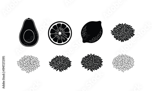 Botanical illustrations of fruit cross-sections and seed dispersal patterns