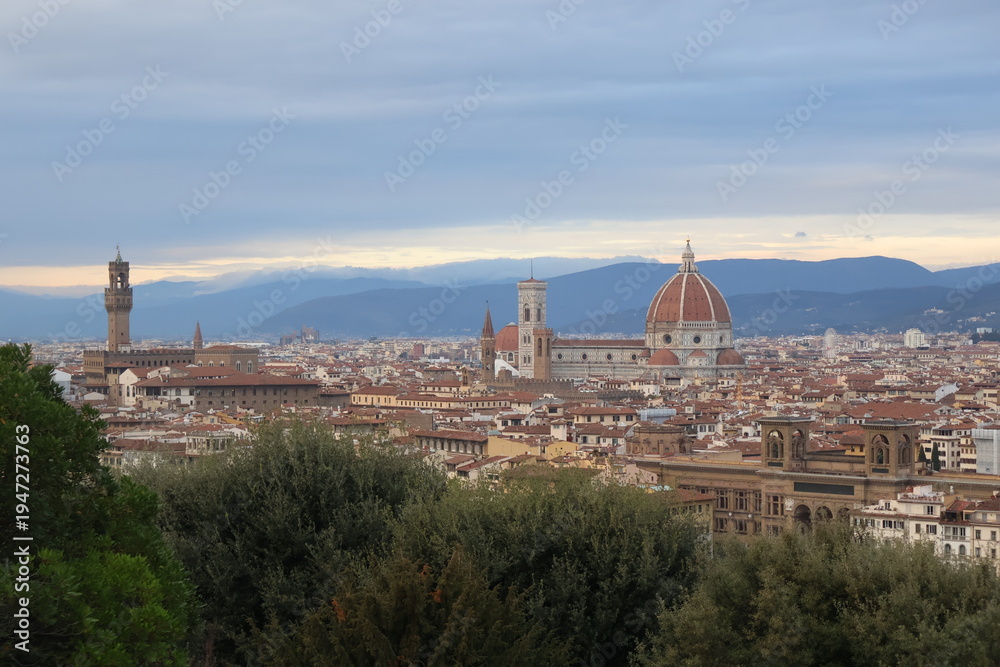 Obraz premium view of florence